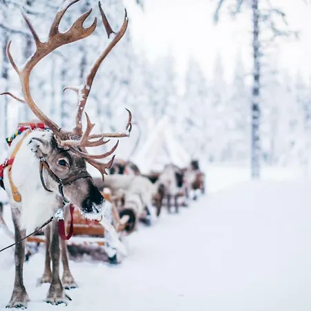 Forenom Serviced Valtakatu * Rovaniemi