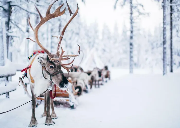 Forenom Serviced Valtakatu * Rovaniemi